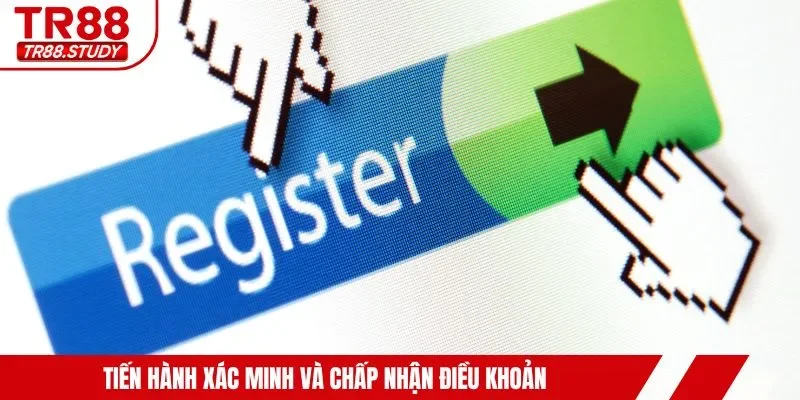 Tiến hành xác minh và chấp nhận điều khoản